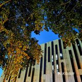 金陵漫游||美术馆.幽蓝的夜