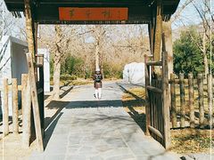 -红楼梦邮局