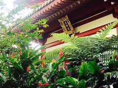 -新加坡佛牙寺龙华院
