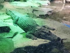 -沙沙哗啦海洋馆(华宇百花谷店)