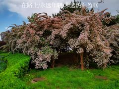 -元大都城垣遗址公园