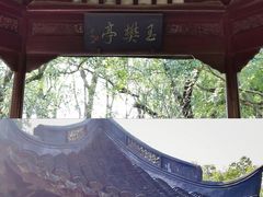 -上海醉白池公园