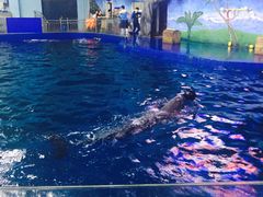 -石家庄市动物园