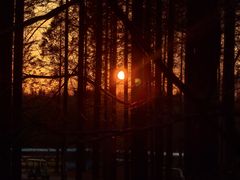 -黄海国家森林公园