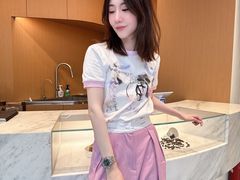 -岭南站NOVA