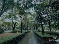 -徐家汇公园