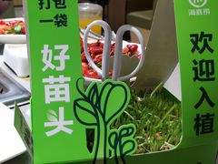 -海底捞火锅(飞马水城店)