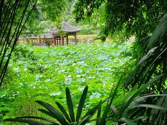-龙头寺公园