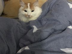 -泰妃堂.泰菜.夜宵(赤岗总店)