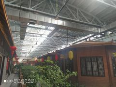 -森谷美食公园(杨行店)