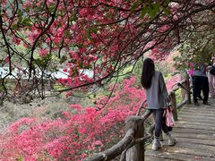 -木兰云雾山
