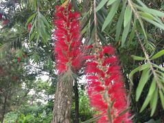 -福建鲤鱼洲酒店