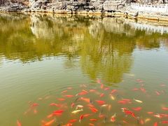 -北京西山国家森林公园