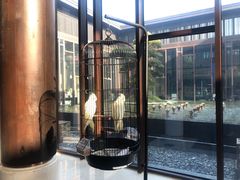 -上海崇明金茂凯悦酒店