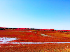 -红海滩国家风景廊道