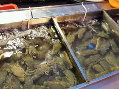 -渔家火锅·海鲜自助餐·演艺(亚龙湾天域酒店)