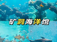 -长鹿旅游休博园
