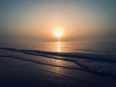 -日照海滨国家森林公园