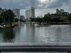 -荔湾湖公园