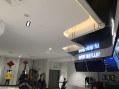 -红星电影世界上海张江绿地店