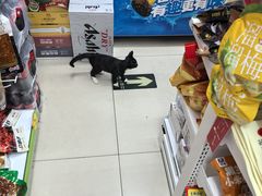 -Wagas沃歌斯(富力广场店)