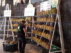 -都念榴莲·城市榴莲