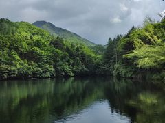 -洛阳白云山景区