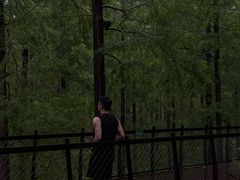 -黄海国家森林公园