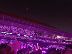 -南京奥林匹克体育中心-体育馆