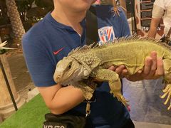 -清迈夜间动物园