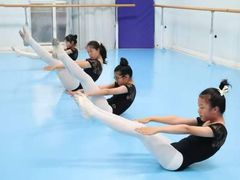 -西安小天鹅艺术团(曲江Alice店)