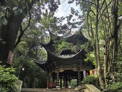 -蝴蝶泉公园