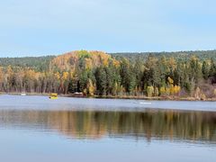 -五营红松林海景区