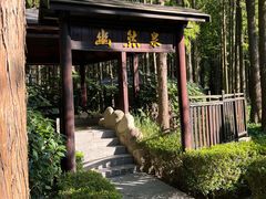 -泗洪洪泽湖湿地景区