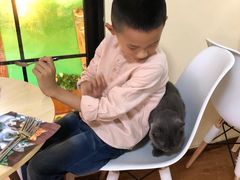 -李小姐の猫咖啡馆(五角场店)