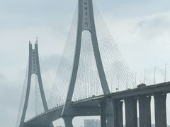 -中澳友谊花园