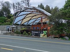 -怀托摩萤火虫洞