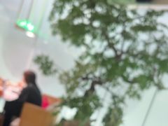 -绿茶餐厅(广州天河城店)