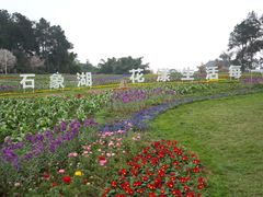 -保利石象湖景区