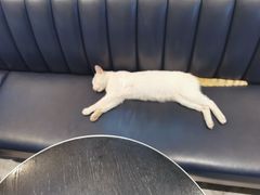 -星巴克臻选(思南公馆店)
