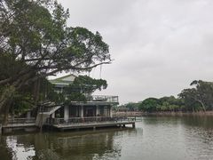 -公园茶楼粤式点心
