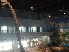 -自贡恐龙博物馆