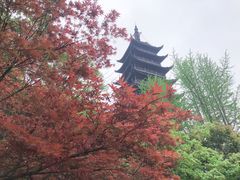 -常熟方塔园