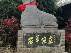 -石羊农庄
