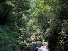 -西岭雪山大飞水景区