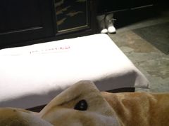 -樱蘭·影院足道·养生SPA(三里屯店)