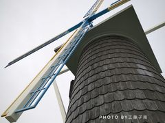 -上海鲜花港