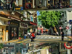 -溪岸路花鸟市场
