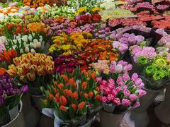 -双季花艺园艺市场(浦东店)