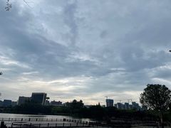 -洋湖国家湿地公园